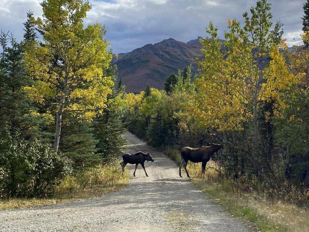 Denali Park View Family Log Cabin Eksteriør bilde