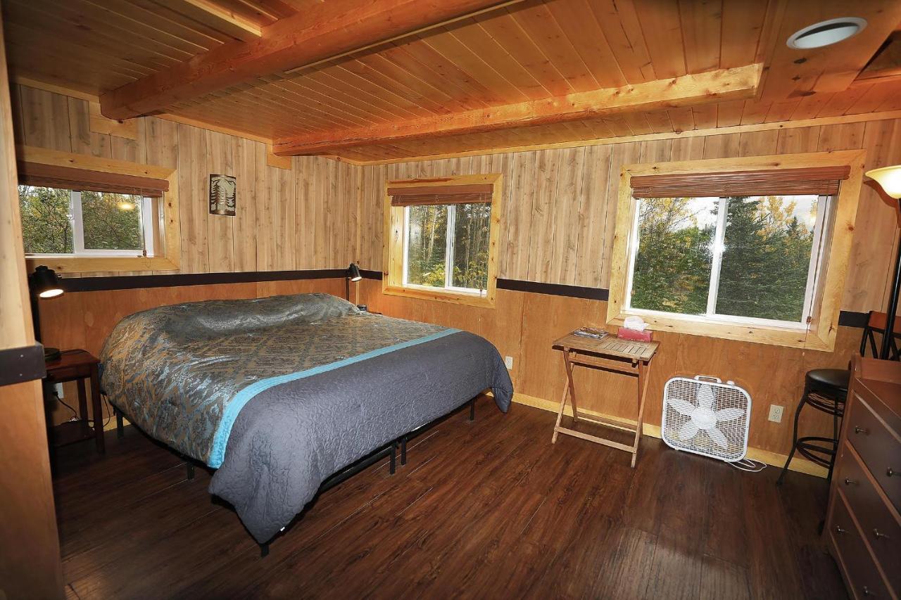 Denali Park View Family Log Cabin Eksteriør bilde